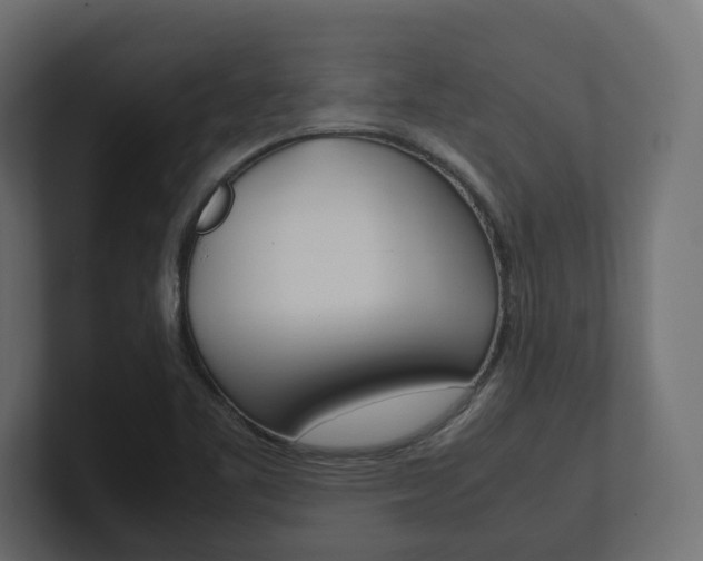 X0000101221461200806270914