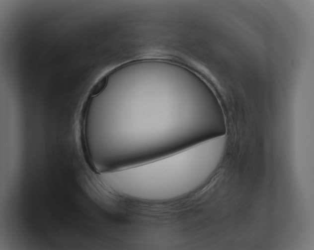 X0000101221463200806270914