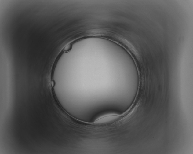 X0000101221465200806270914