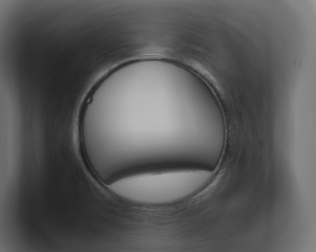 X0000101221469200806270914