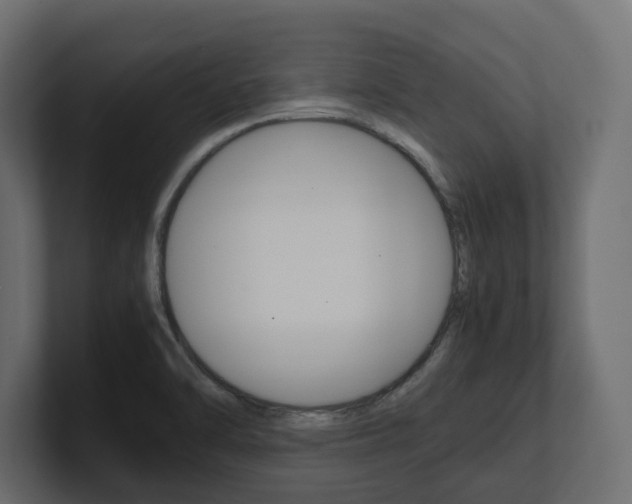 X0000101221470200806270914