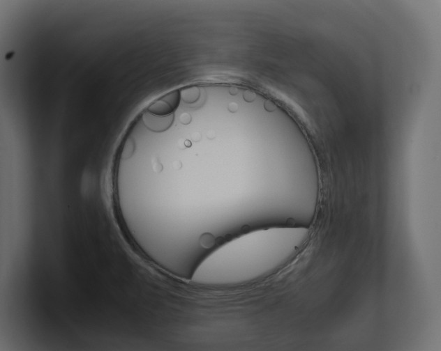 X0000101221471200806270914
