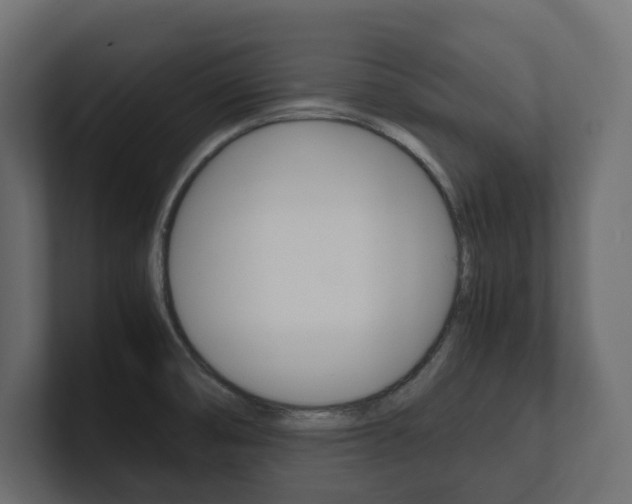 X0000101221474200806270914