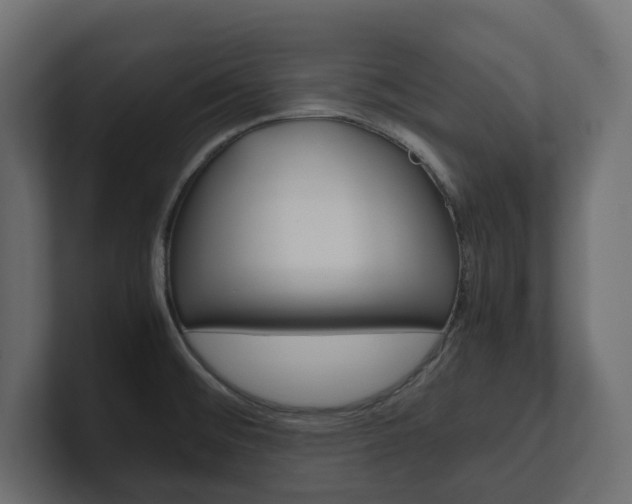X0000101221476200806270914