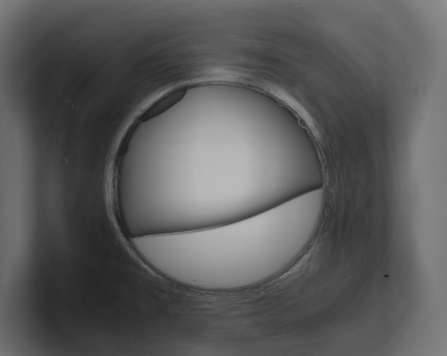 X0000101221477200806270914