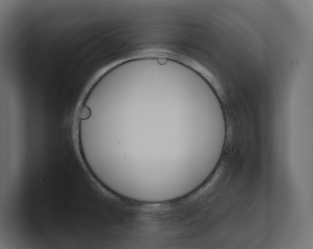 X0000101221478200806270914
