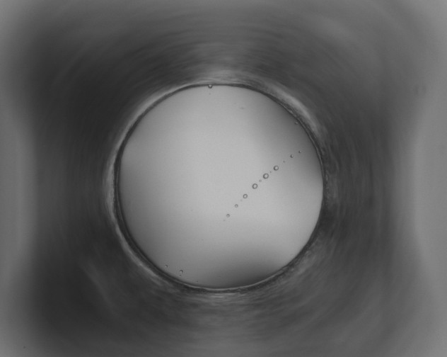 X0000101221479200806270914