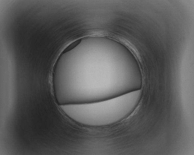 X0000101221481200806270914