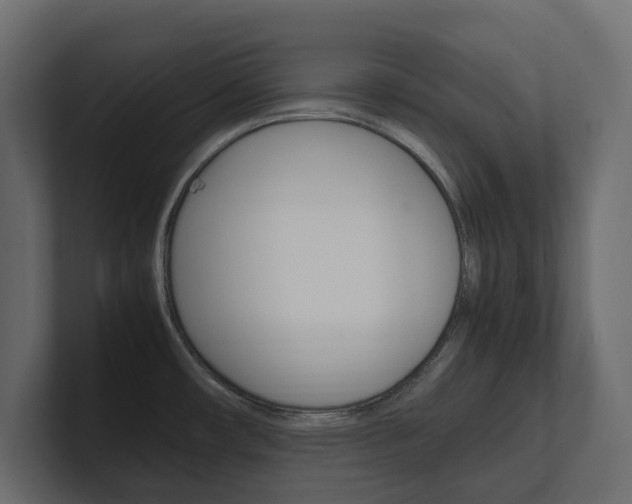 X0000101221482200806270914