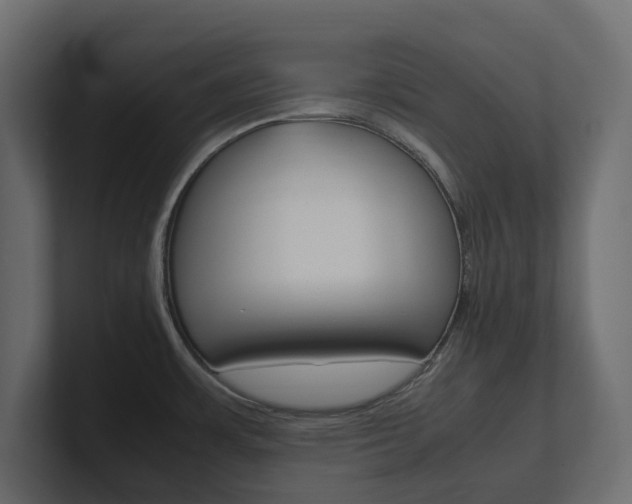 X0000101221483200806270914