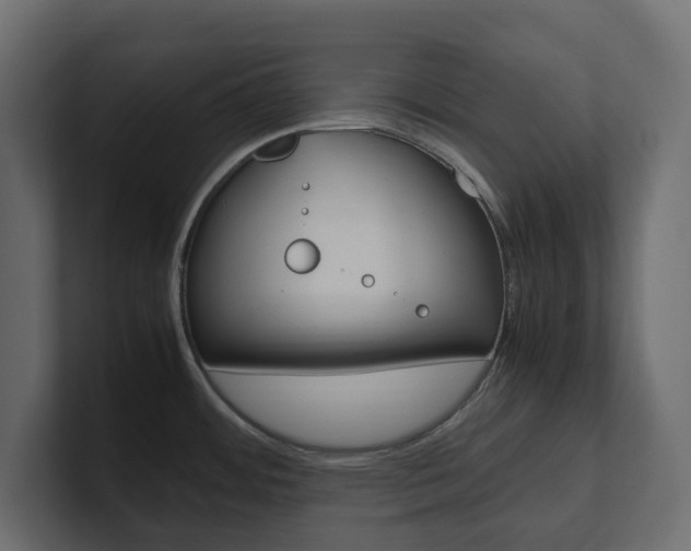 X0000101221484200806270914
