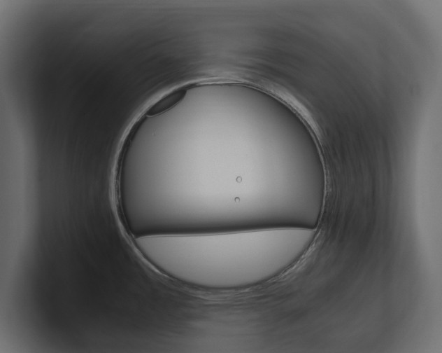 X0000101221485200806270914