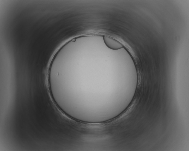 X0000101221486200806270914