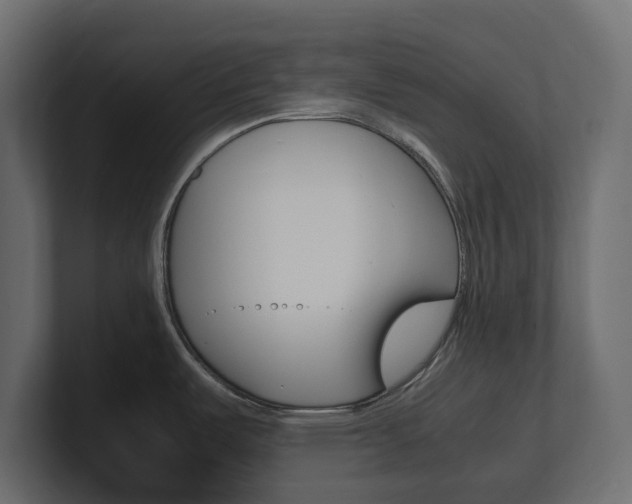X0000101221487200806270914