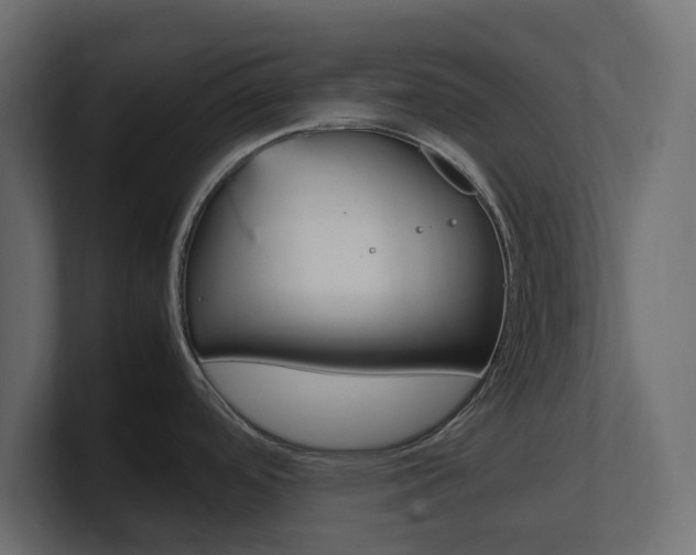 X0000101221488200806270914