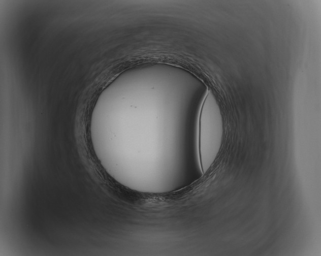 X0000101221489200806270913