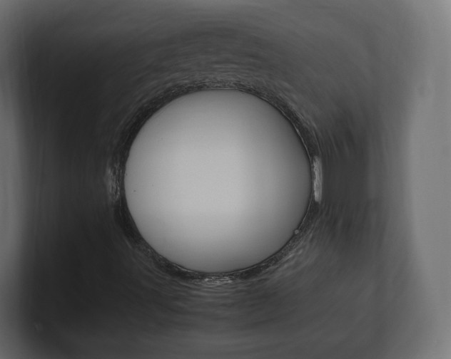 X0000101221491200806270913