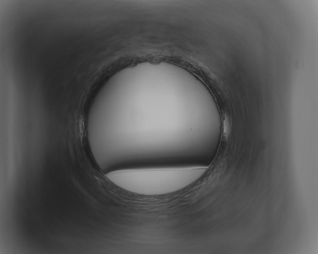X0000101221492200806270913