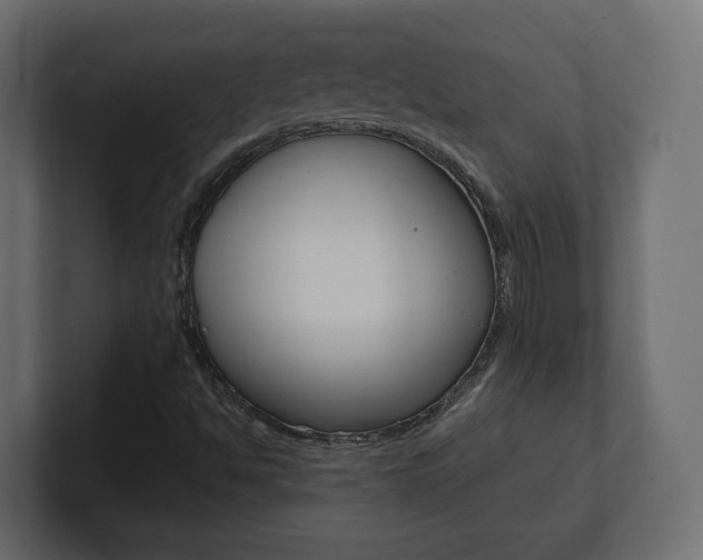 X0000101221494200806270913