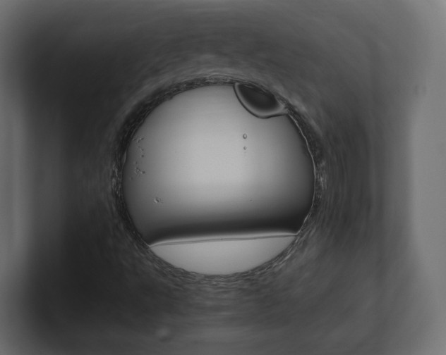 X0000101221495200806270913