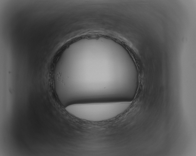 X0000101221496200806270913