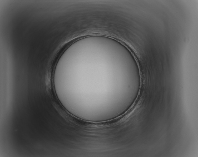 X0000101221499200806270913