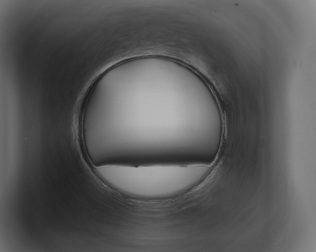 X0000101221500200806270913