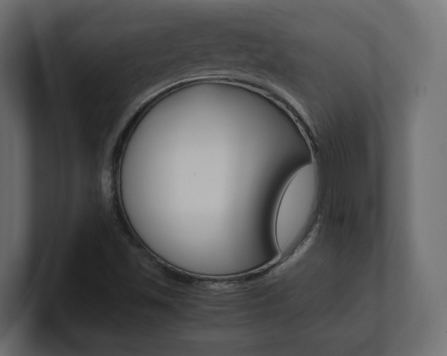 X0000101221501200806270913