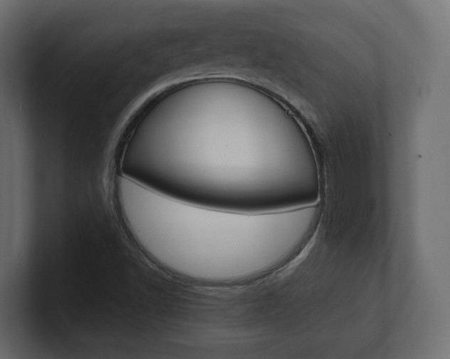X0000101221502200806270913