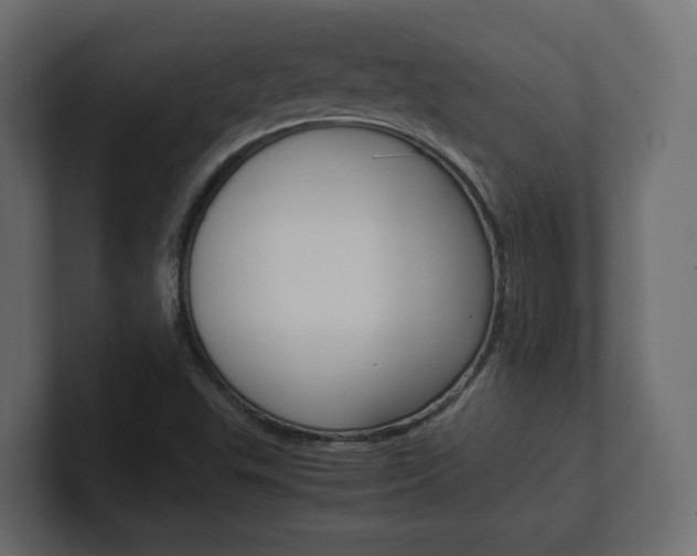 X0000101221503200806270913