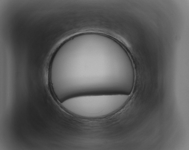 X0000101221504200806270913