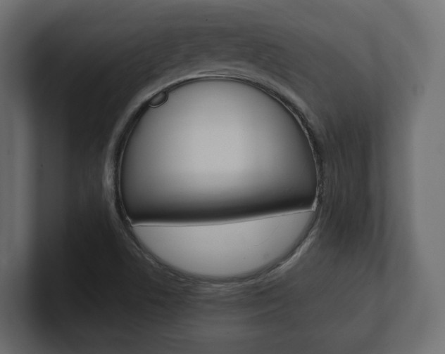 X0000101221506200806270913
