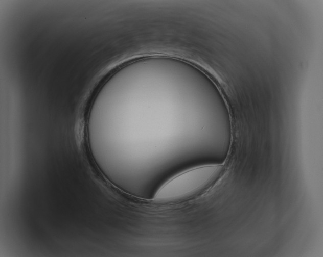 X0000101221507200806270913