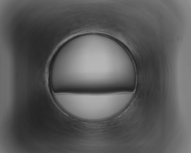 X0000101221508200806270913