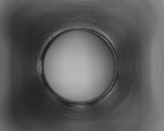 X0000101221509200806270913