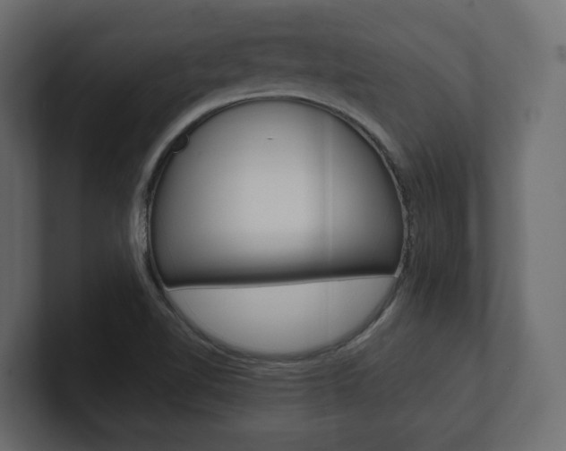 X0000101221510200806270913