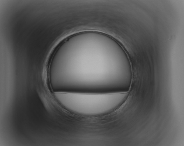 X0000101221511200806270914