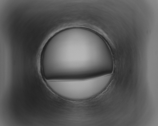 X0000101221512200806270914