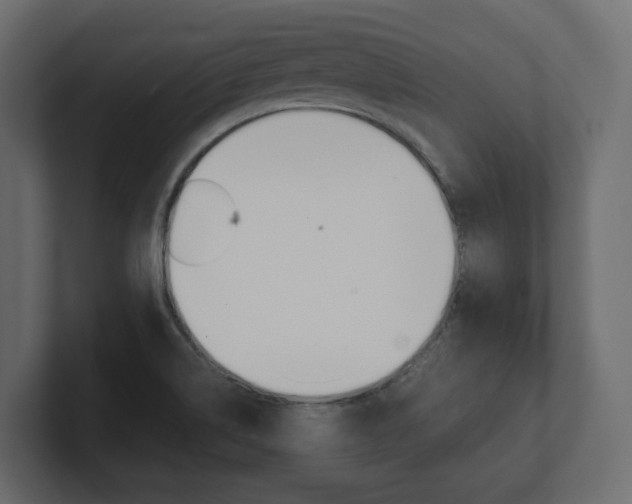 X0000101221514200806270914