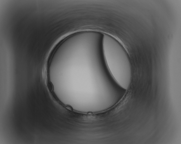 X0000101221515200806270914