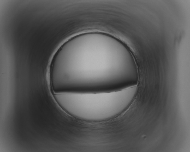 X0000101221516200806270914