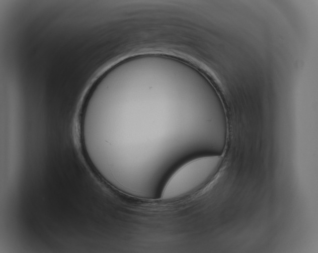 X0000101221517200806270914