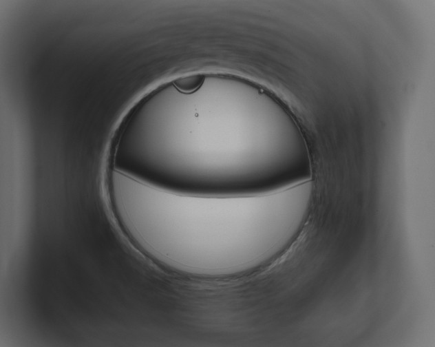 X0000101221518200806270914
