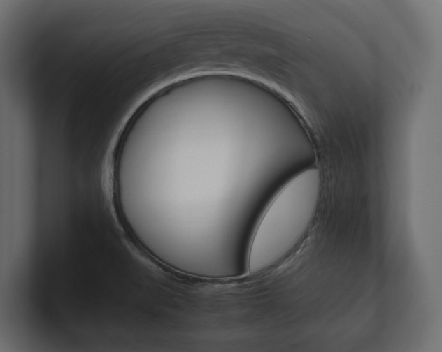 X0000101221519200806270914