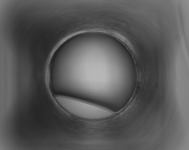 X0000101221520200806270914