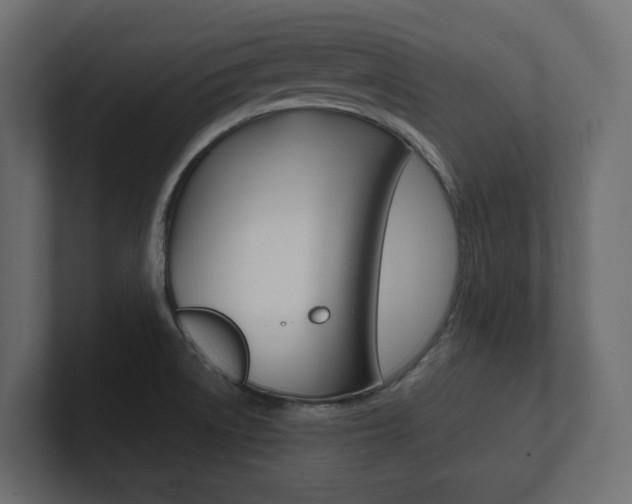 X0000101221522200806270914