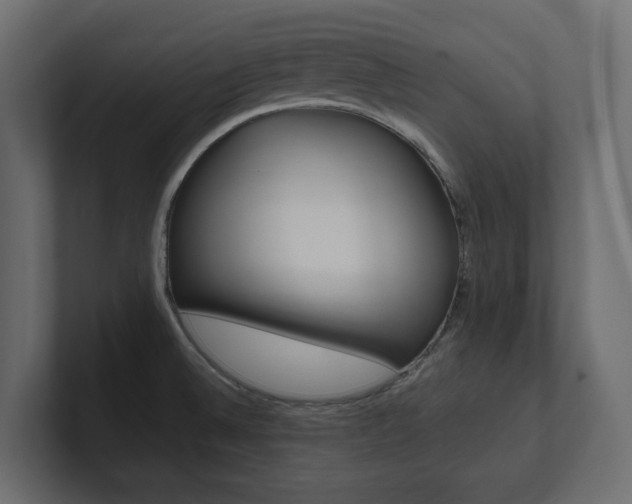 X0000101221524200806270914
