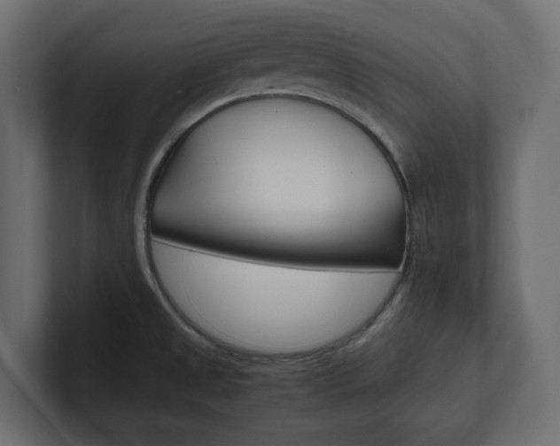 X0000101221525200806270914