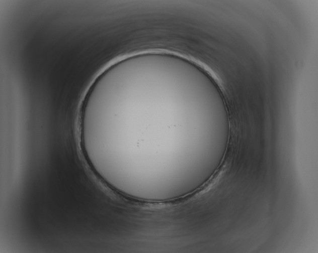 X0000101221526200806270914