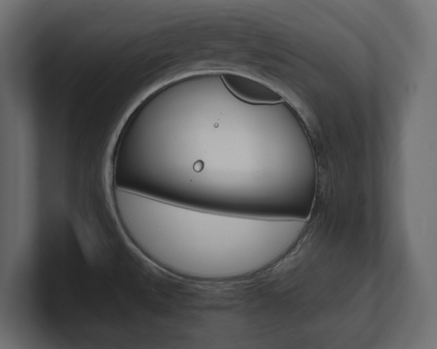 X0000101221527200806270914